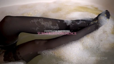 Cover for 'Submerged Obedience'