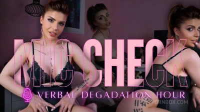 Cover for 'Mic Check: Verbal Degradation Hour!'